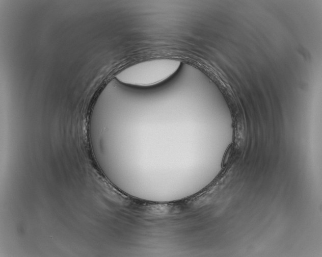 X0000112480473200908171016