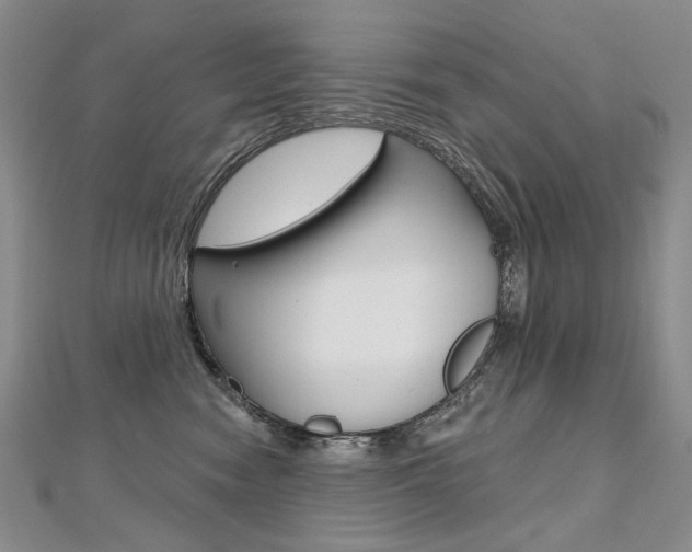 X0000112480474200908171016
