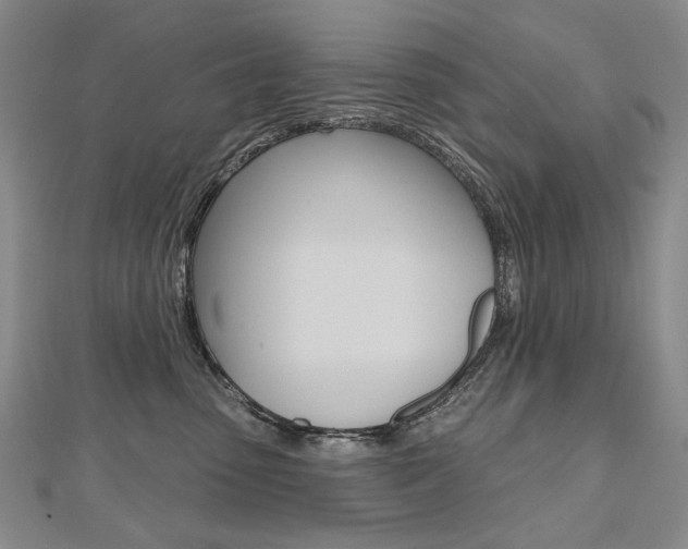 X0000112480475200908171016