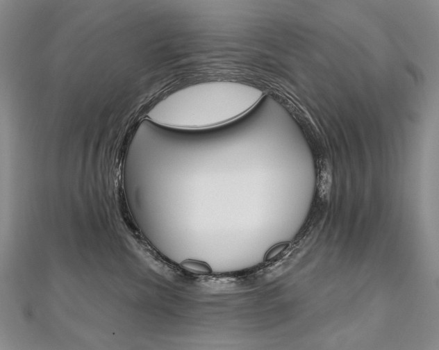 X0000112480476200908171016