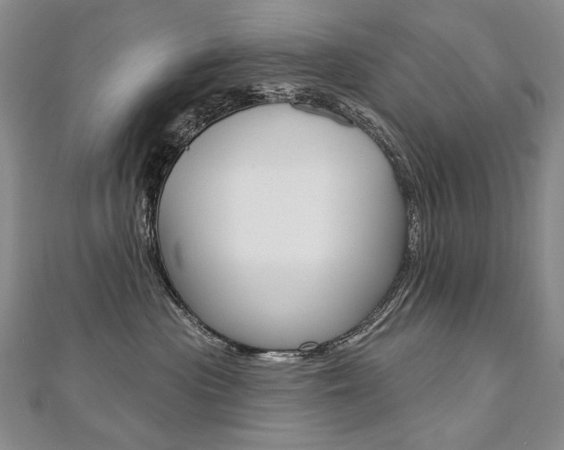 X0000112480477200908171016