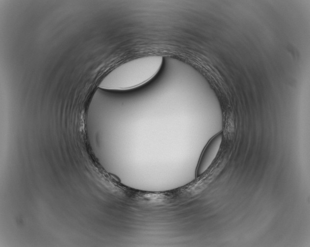 X0000112480478200908171016