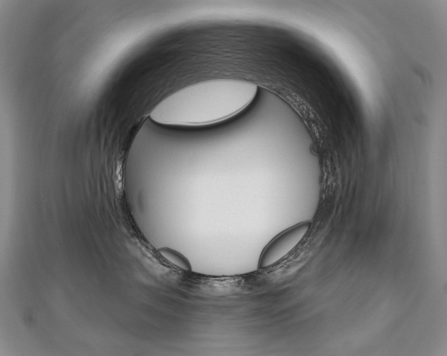 X0000112480479200908171016
