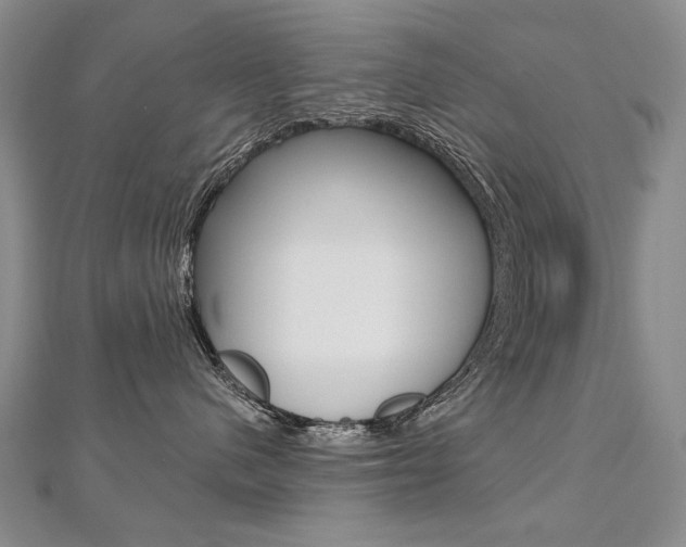 X0000112480480200908171016