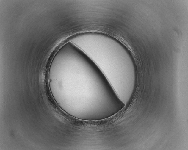 X0000112480483200908171016