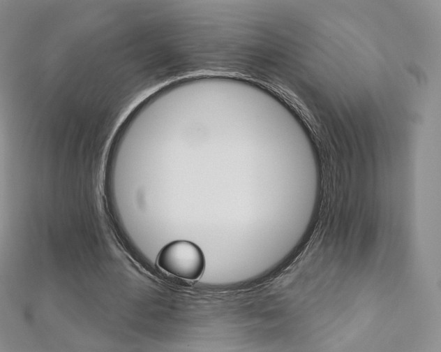 X0000112480484200908171016