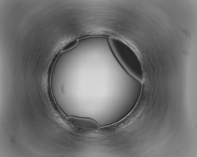 X0000112480485200908171016