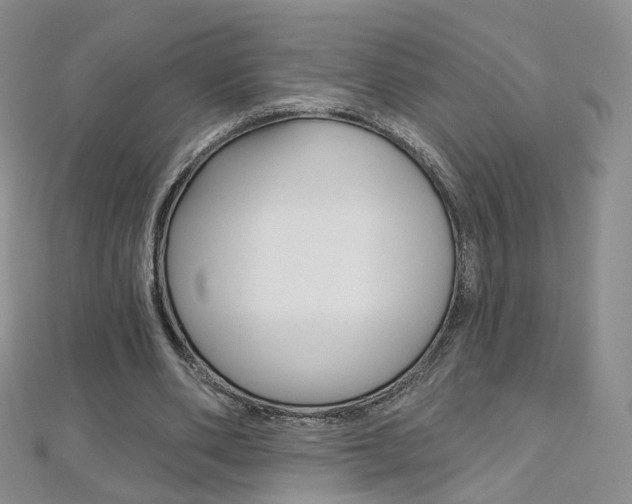 X0000112480486200908171015