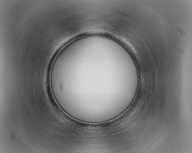 X0000112480487200908171015