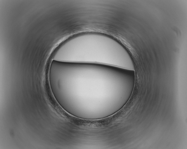 X0000112480488200908171015