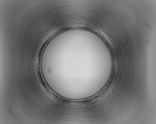 X0000112480490200908171015