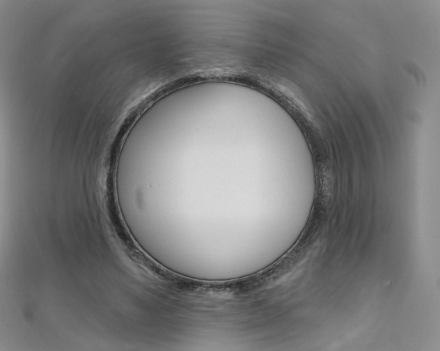 X0000112480491200908171015