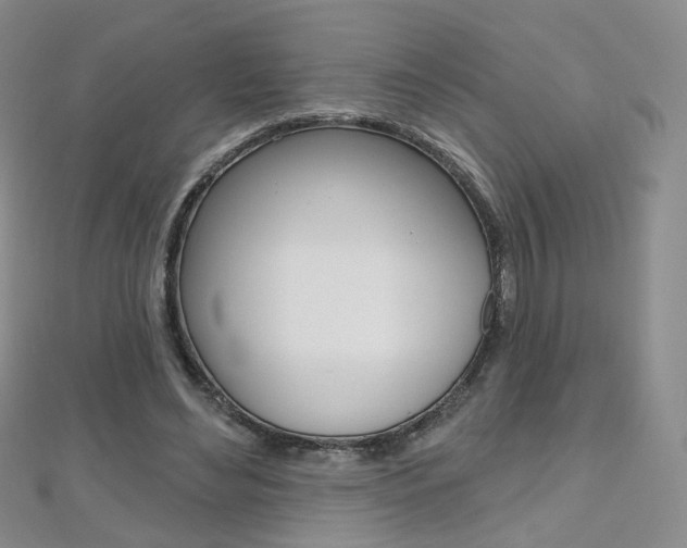 X0000112480492200908171015