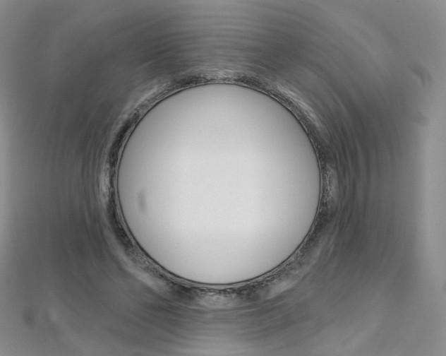 X0000112480494200908171015