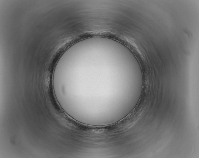 X0000112480495200908171015