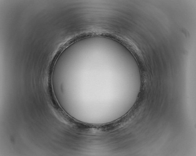 X0000112480496200908171015