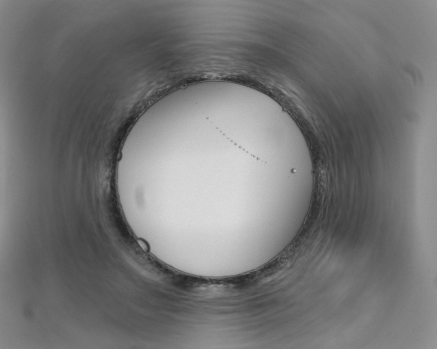 X0000112480499200908171015