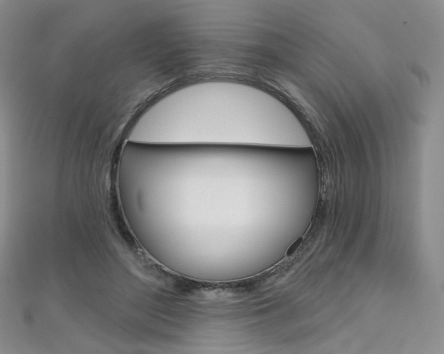 X0000112480500200908171015