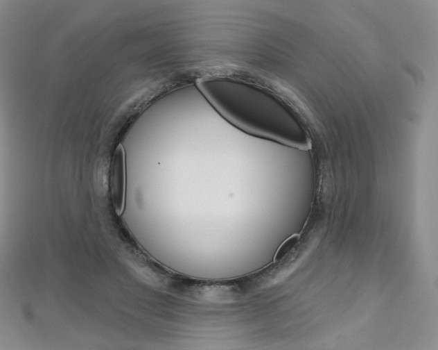 X0000112480501200908171015
