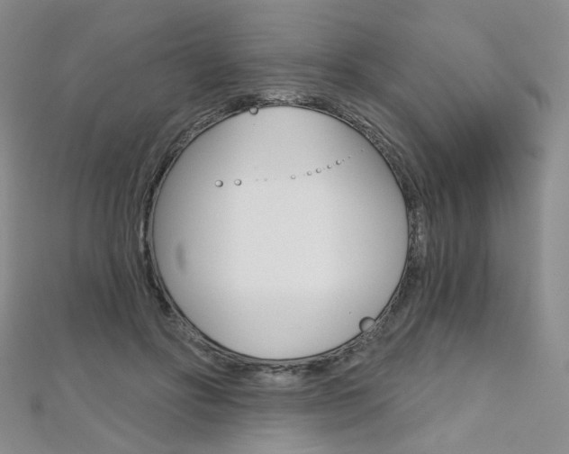 X0000112480502200908171015