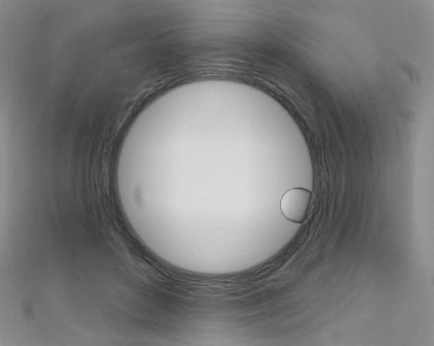 X0000112480504200908171015