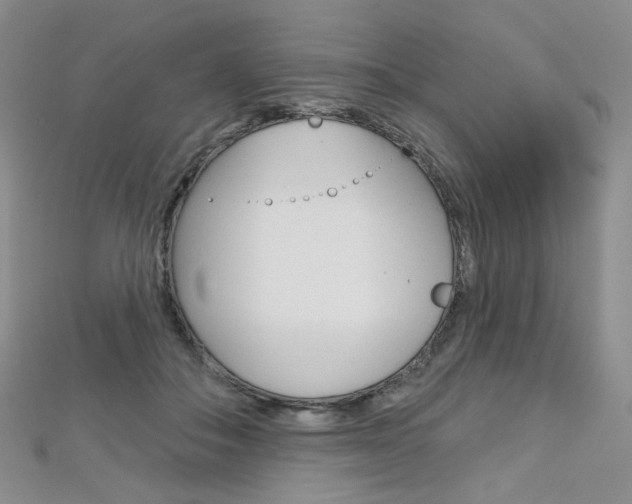 X0000112480506200908171015