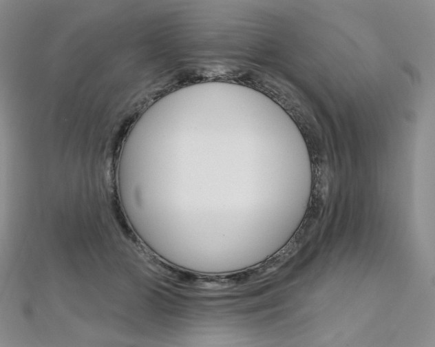 X0000112480510200908171015