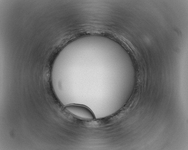 X0000112480513200908171015