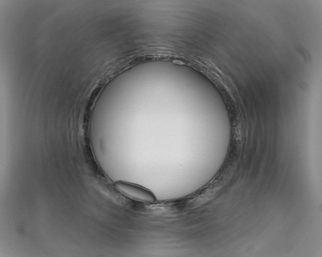 X0000112480516200908171015