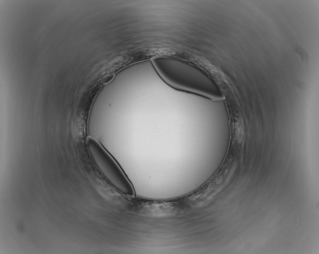 X0000112480517200908171015