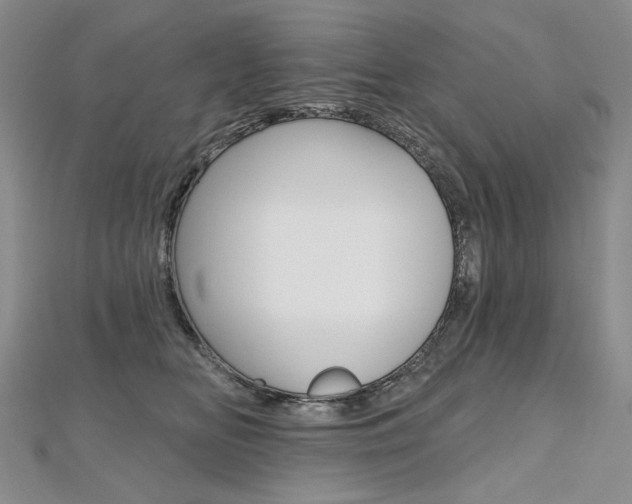 X0000112480518200908171015