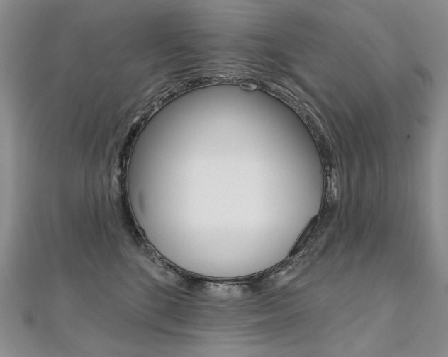 X0000112480520200908171015