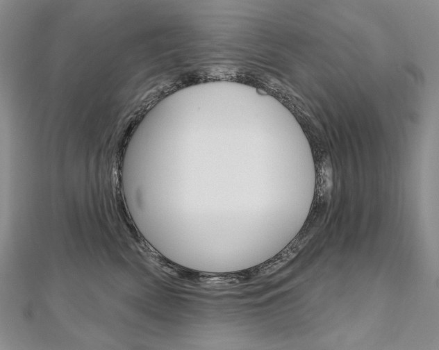 X0000112480522200908171015