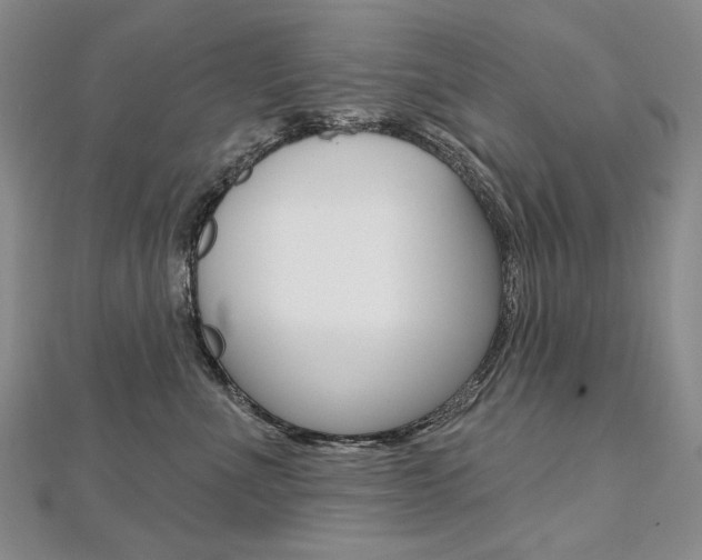 X0000112480523200908171015