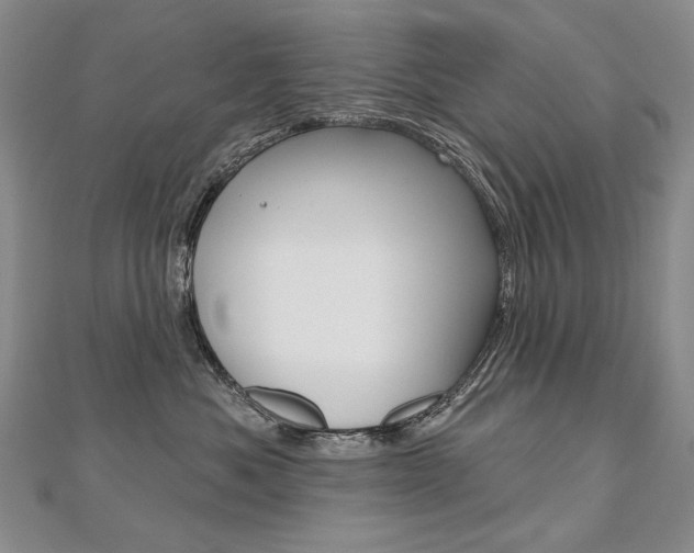 X0000112480525200908171015