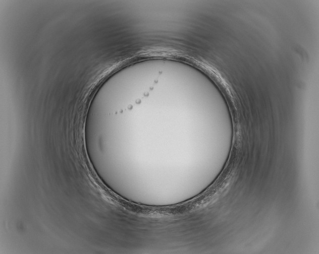 X0000112480529200908171014