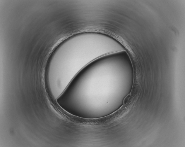 X0000112480530200908171014