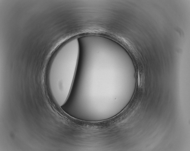 X0000112480531200908171014