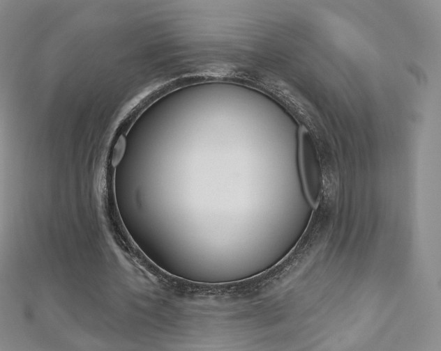 X0000112480532200908171014