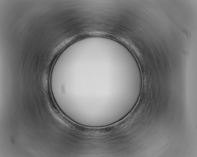 X0000112480533200908171014