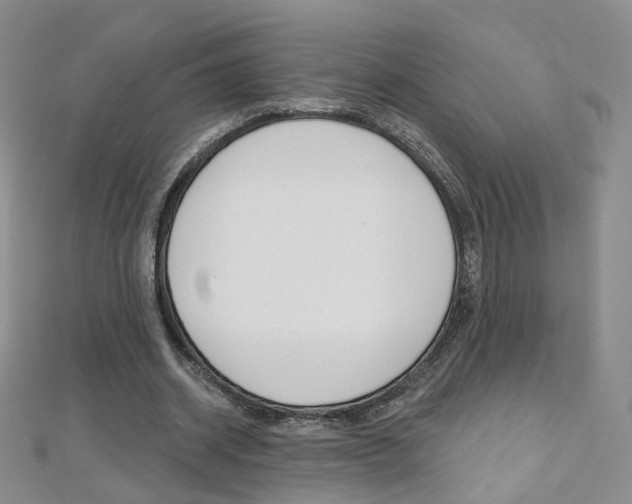X0000112480534200908171014
