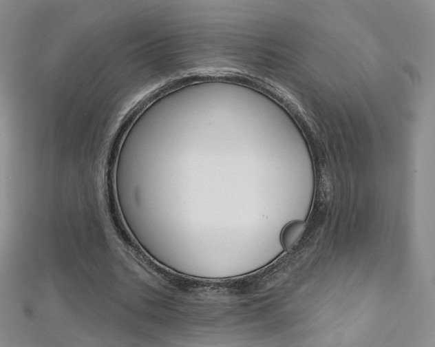 X0000112480535200908171014