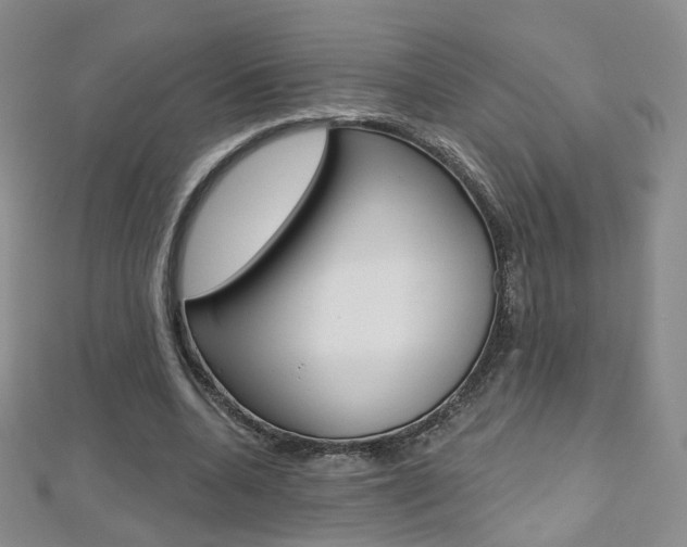X0000112480536200908171014