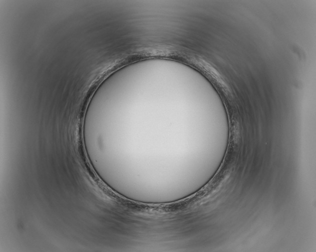 X0000112480537200908171014