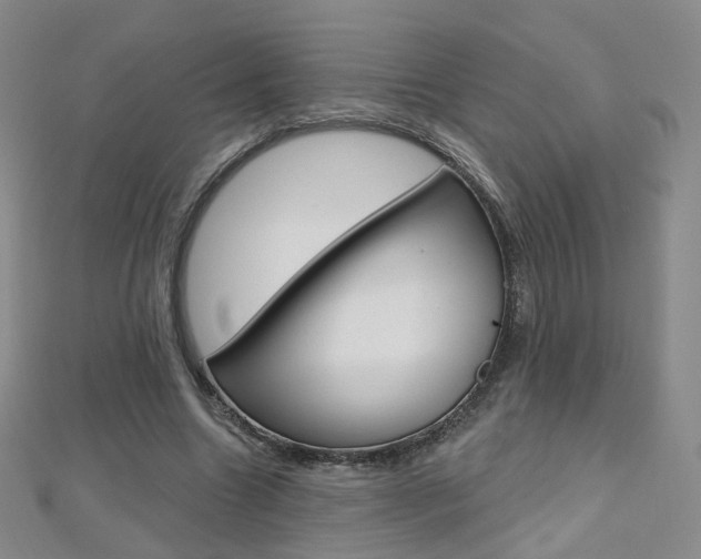 X0000112480538200908171014