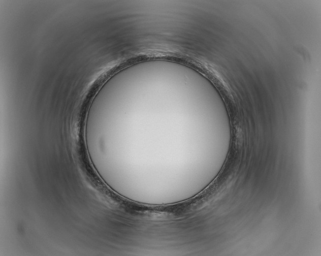 X0000112480539200908171014