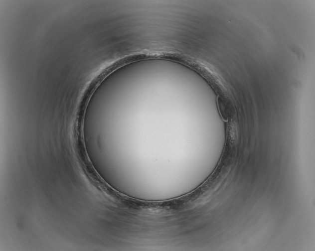 X0000112480540200908171014
