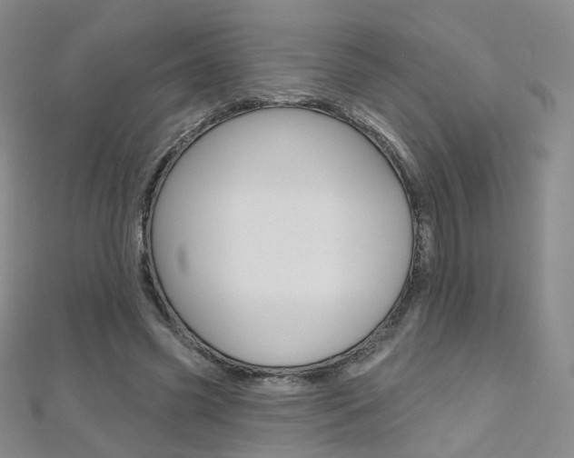 X0000112480541200908171014