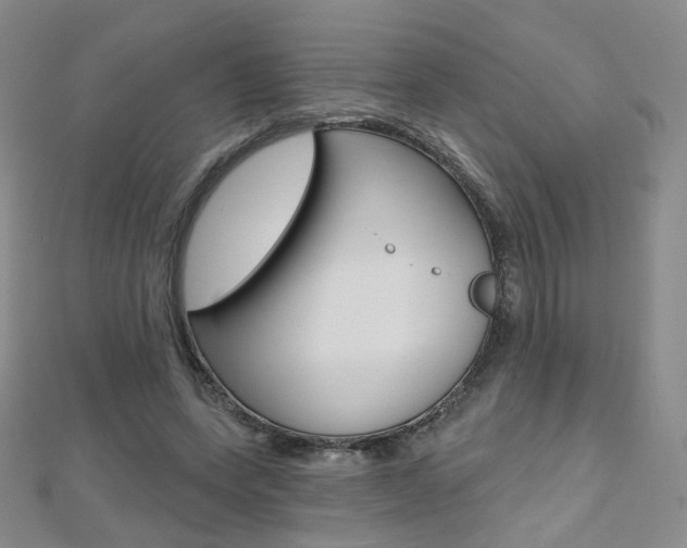 X0000112480543200908171015