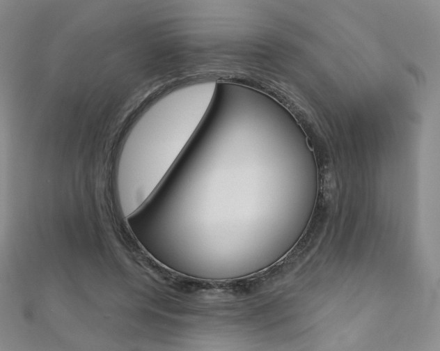 X0000112480544200908171015
